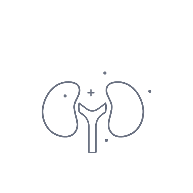 Nephrology hover