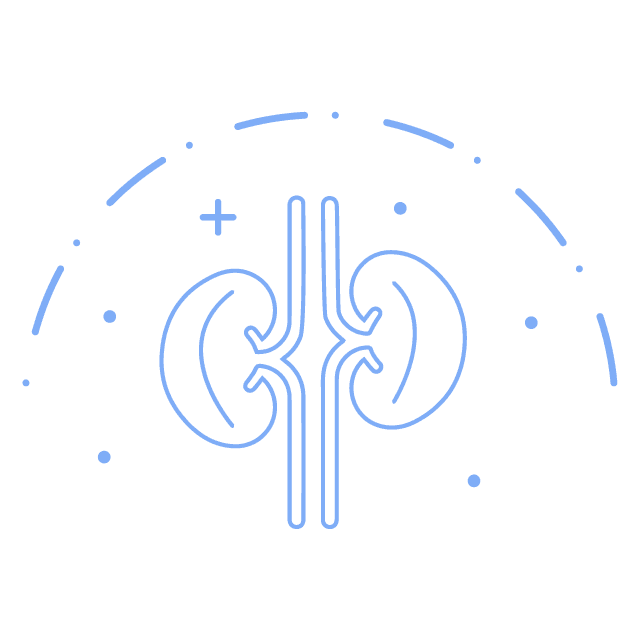 Renal Diseases